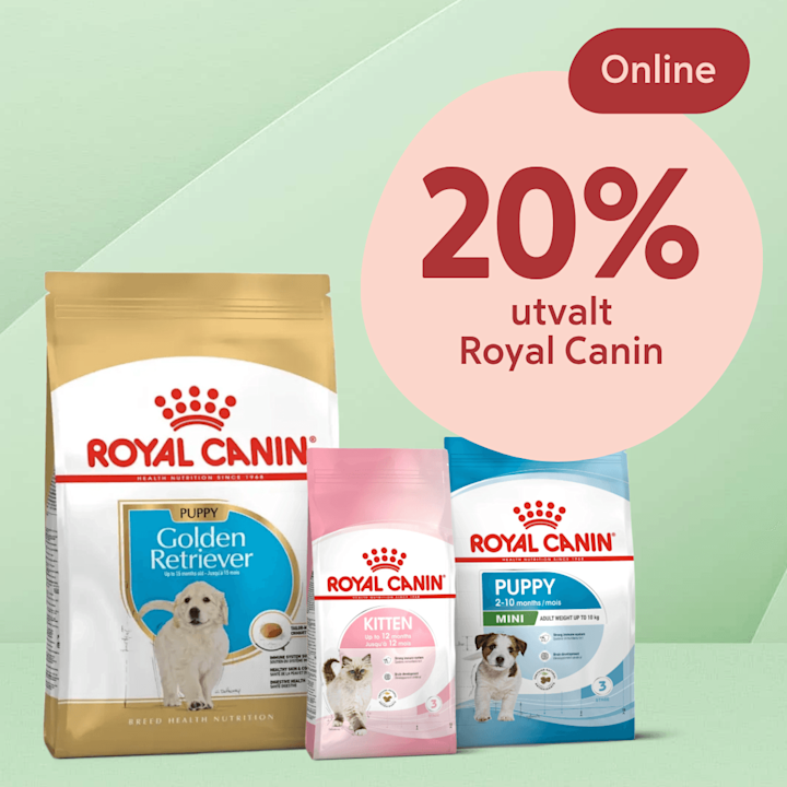 Tre påsar Royal Canin djurfoder (Golden Retriever puppy, Kitten, Mini Puppy) framför grön bakgrund med rosa cirkeltext "20% utvalt Royal Canin".