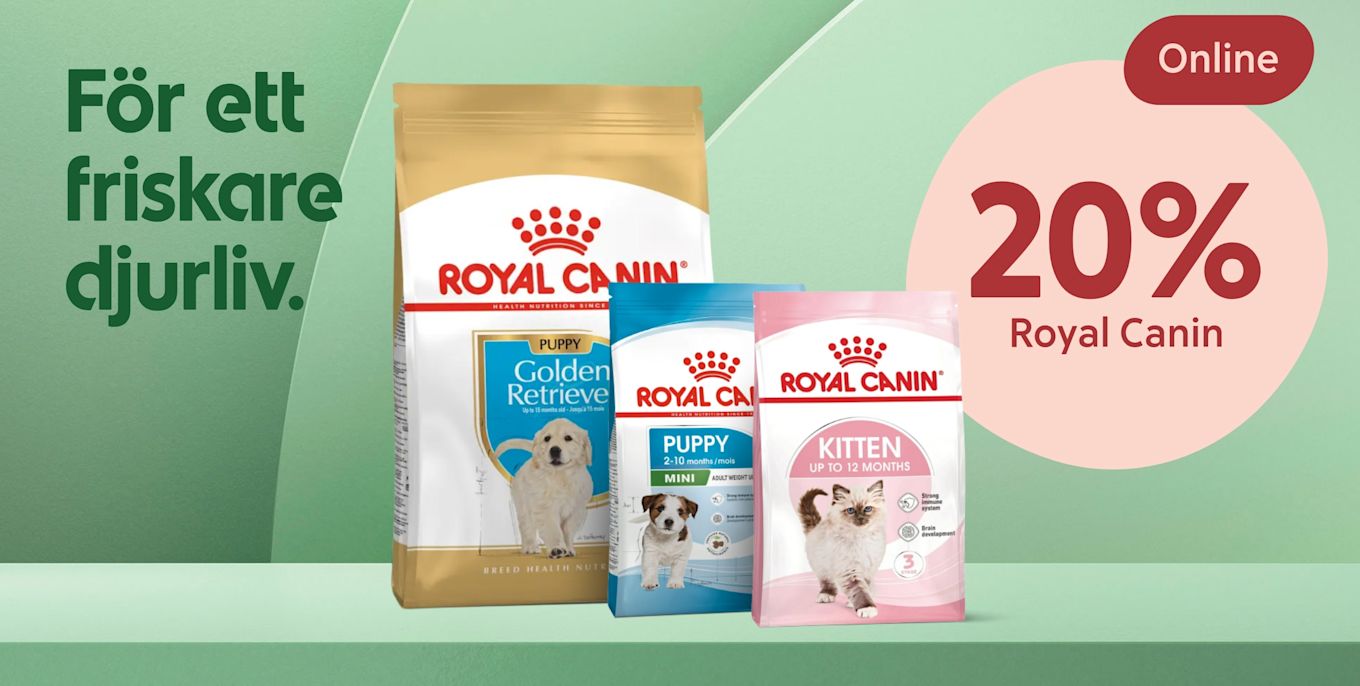 Tre Royal Canin-fodral (stor gul för Golden Retriever-valp, blå för mini-puppy och rosa för kitten) stående på en grön hylla med texten "För ett friskare djurliv" till vänster och en rosa cirkel till höger med "20% Royal Canin" samt en liten röd etikett "Online".