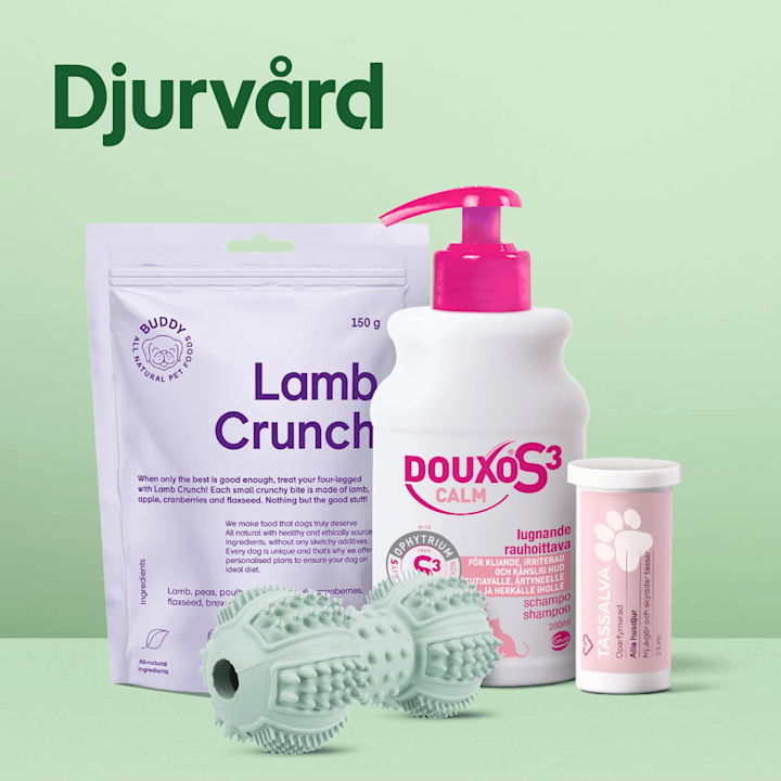 Ingång till kategorin Djurvård. I bild står hundgodis från Buddy, pälsvård från Douxo, tassalva och en tuggleksak mot en ljusgrön bakgrund med rubriken "Djurvård".