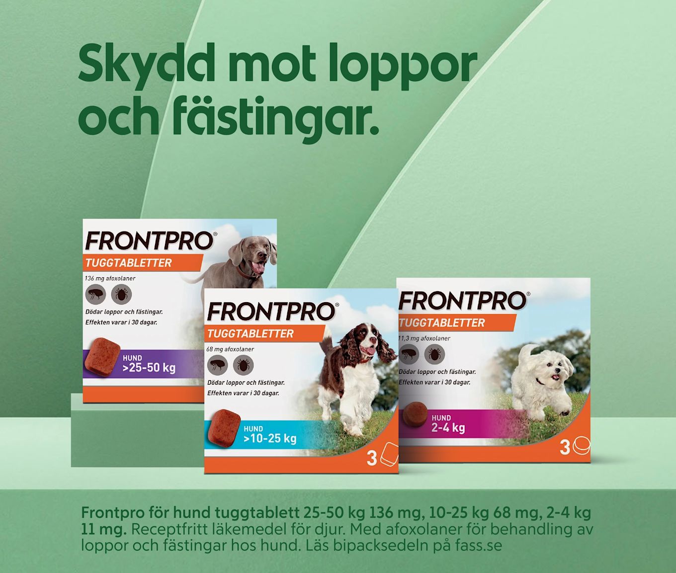 Gröna bakgrundsskivor med texten "Skydd mot loppor och fästingar." överst och tre paket Frontpro tuggtabletter för hundar i olika storlekar i förgrunden med bilder på hundar och viktangivelser.