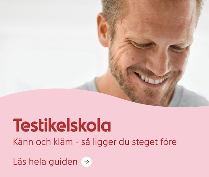 Testikelskola. Känns och kläm - så ligger du steget före. Läs hela guiden.