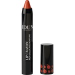 IDUN Minerals Lip Crayon 2,5 g