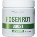 WellAware Health Rosenrot + B5 240 minitabletter