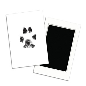 Pearhead Clean Touch Ink Pad stämpeldyna husdjur
