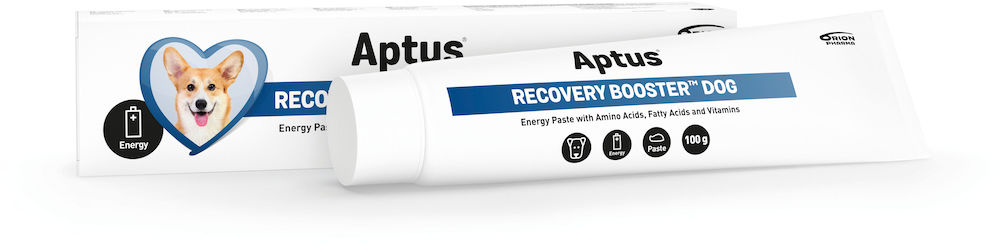 Aptus Recovery Booster Dog Pasta 100 g