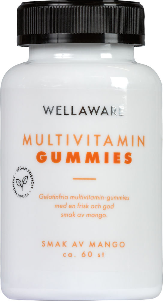 WellAware Multivitamin Gummies 60 st