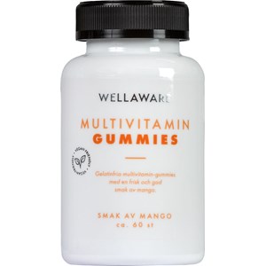 WellAware Multivitamin Gummies 60 st