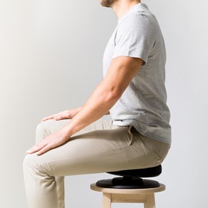 Swedish Posture Balance Balanssits