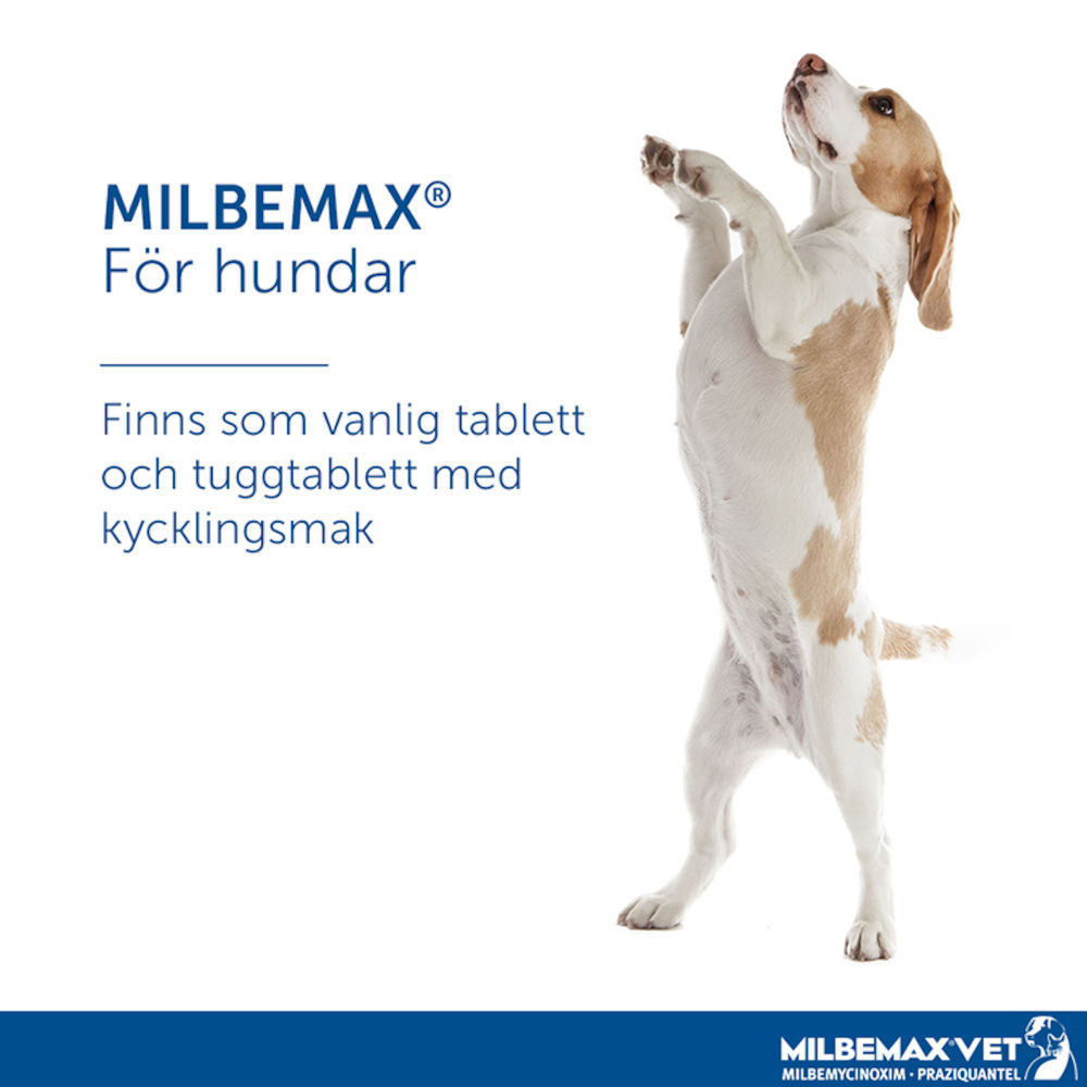 Milbemax vet. för hundar Tablett Blister, 2tabletter