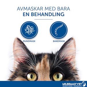 Milbemax vet. för små katter och kattungar tablett 2 st