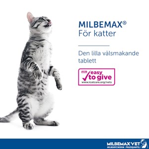 Milbemax vet. för små katter och kattungar tablett 2 st