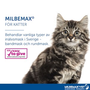 Milbemax vet. för katter tablett 4 st