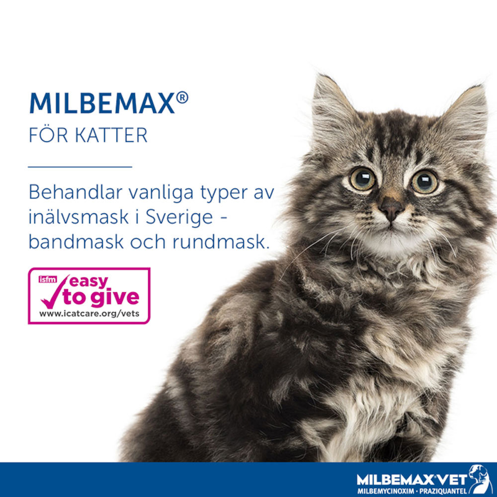 Milbemax vet. för katter tablett 2 st 