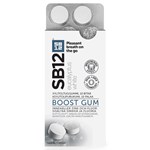 SB12 Boost Eucalyptus White tuggummi 10 st