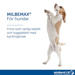 Milbemax vet. tuggtablett för hund (1-5 kg) 2,5 mg/25 mg 2 st