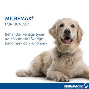 Milbemax vet. tuggtablett för hund (över 5 kg) 12,5 mg/125 mg 2 st