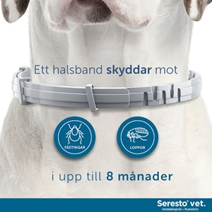 Seresto vet. halsband för hund över 8 kg 4,50 g+2,03 g 1 st