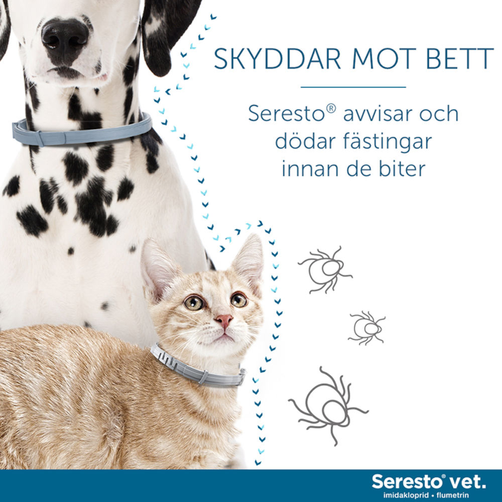 Seresto vet. halsband för katt och hund upp till 8 kg 1,25g+0,56g 1st